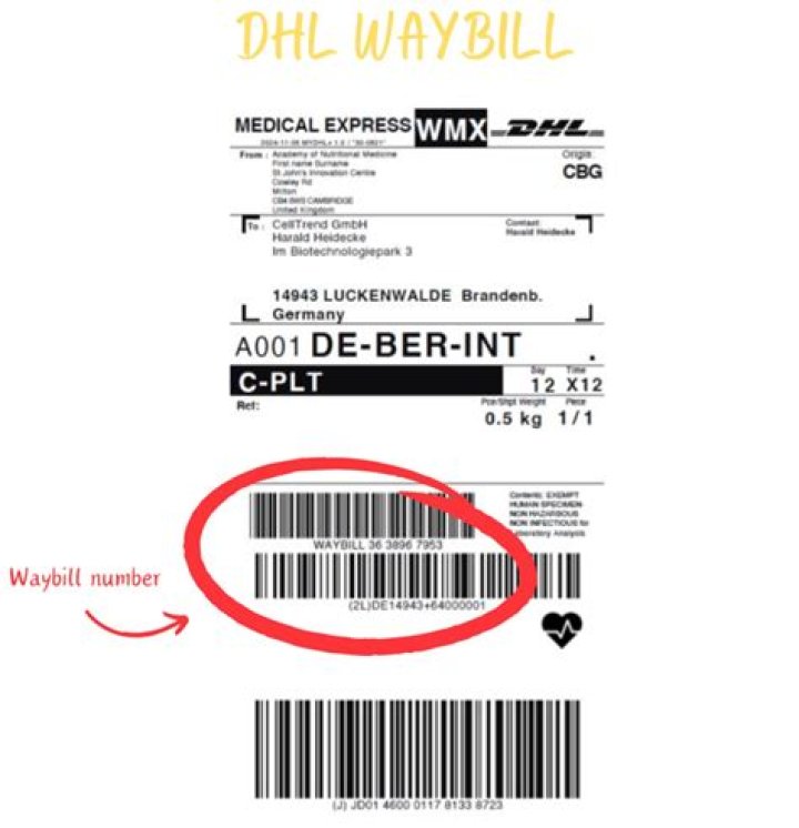 Which is better DHL or UPS?
