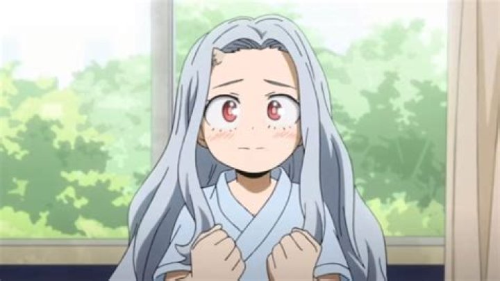 Who is Eri's brother MHA?