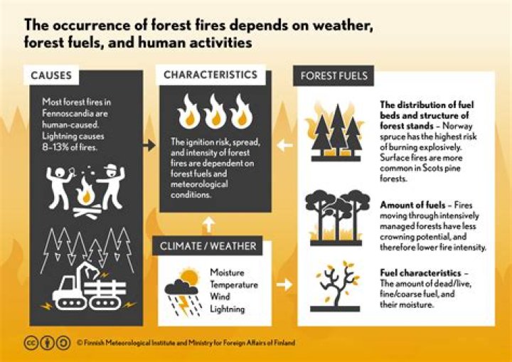 Why are fires so soothing?