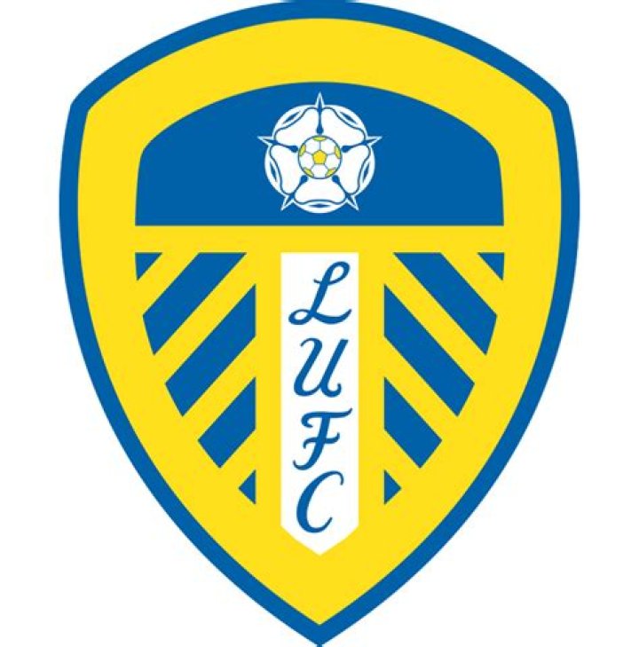 Why does the Leeds manager not speak English?