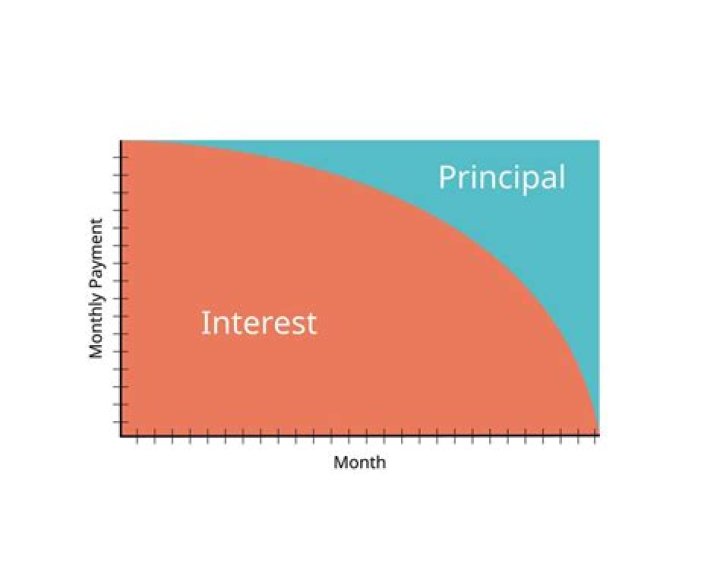 Why is my interest higher than principal?
