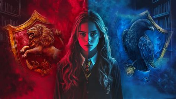 Why isn't Hermione a Ravenclaw?